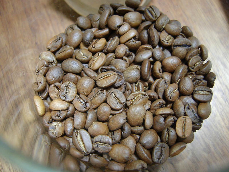 森のコーヒーを開封