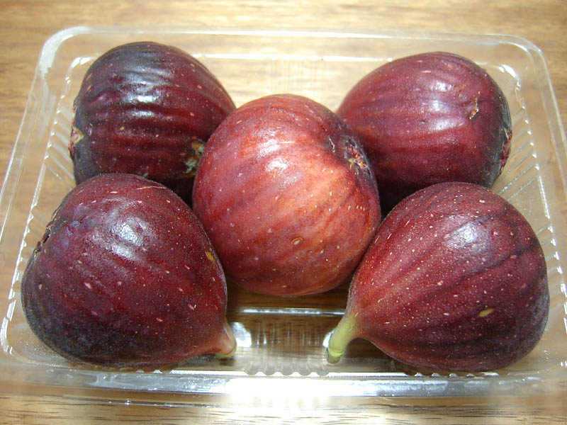 イチジク