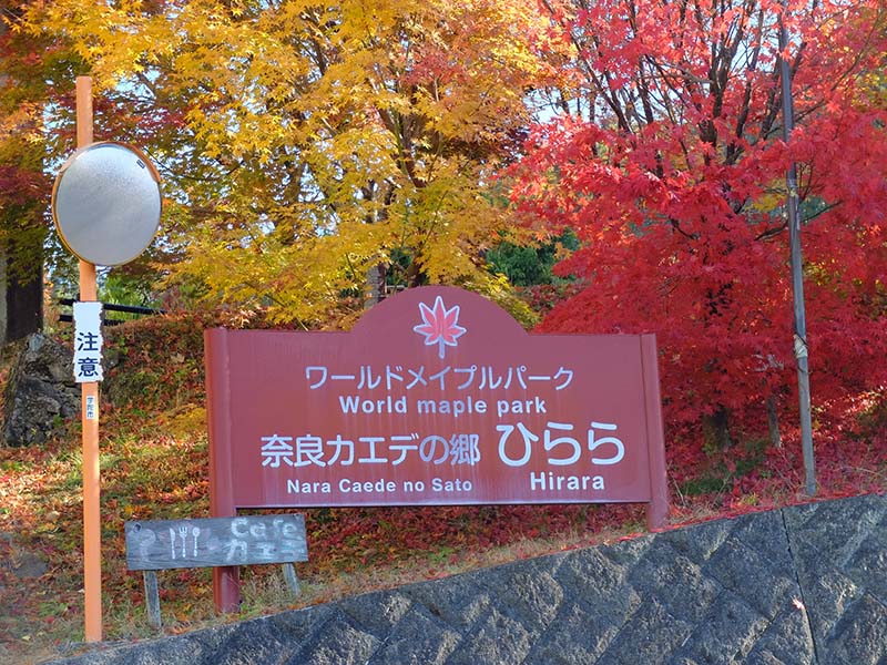 奈良カエデの郷ひらら