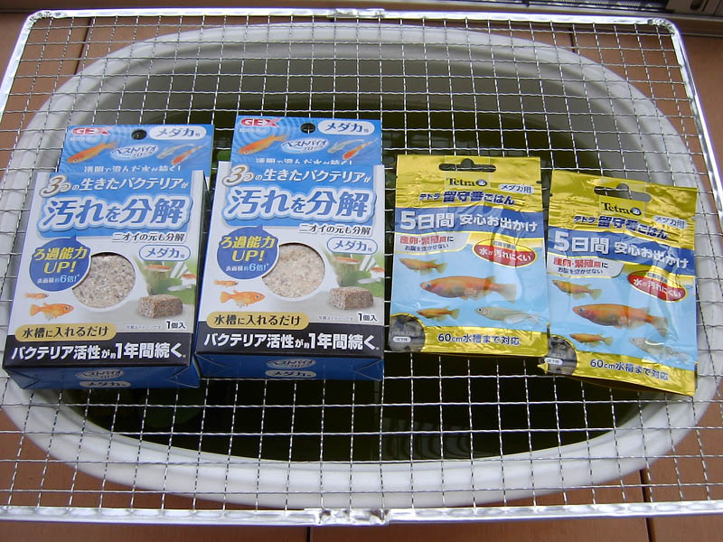 メダカの水槽の汚れを分解する石と留守番ごはん