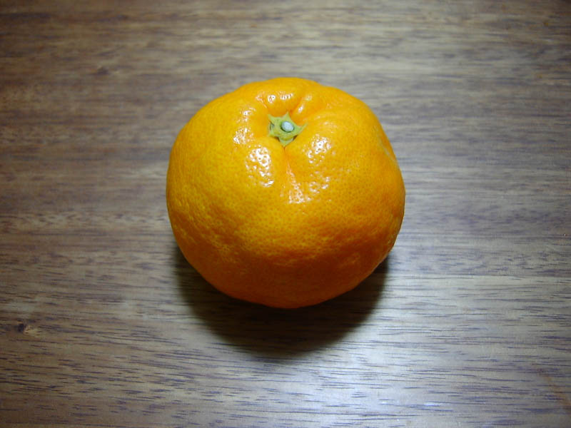 大神神社朔日詣り