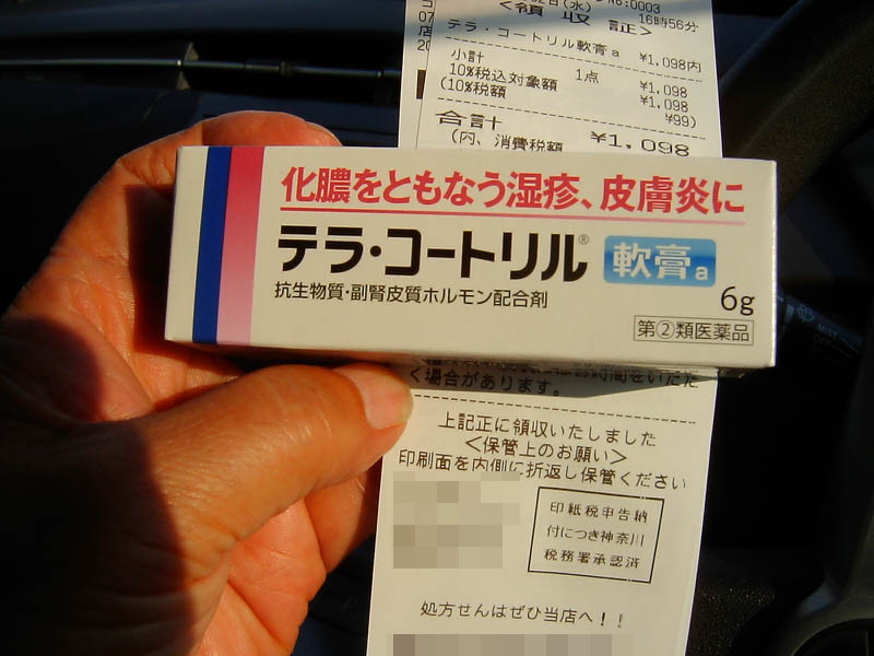 アオスジアゲハ
