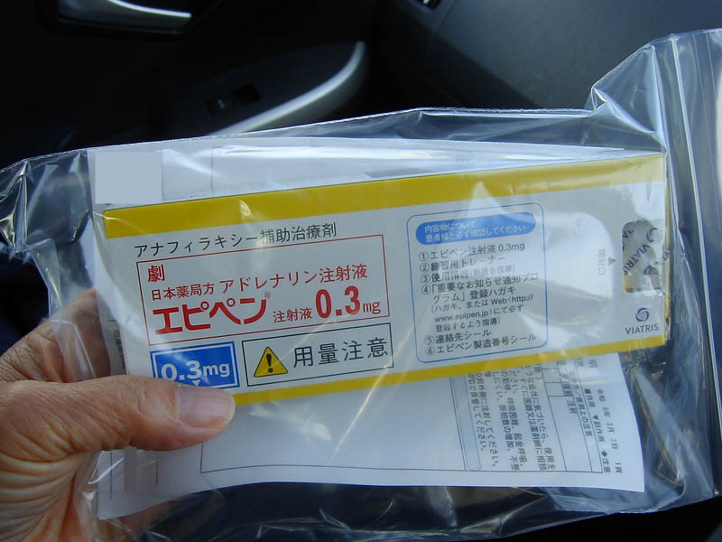 牛肉のプルコギ