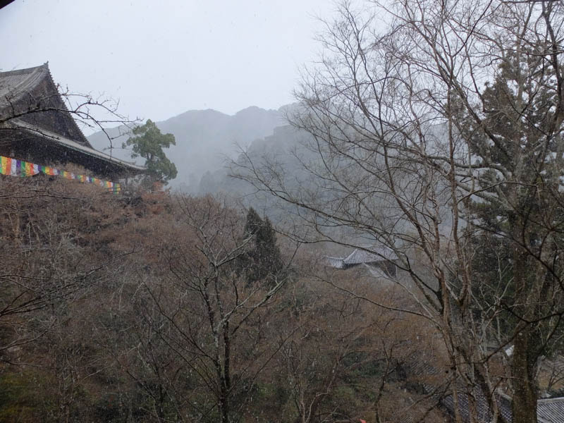 雪がちらついてきた