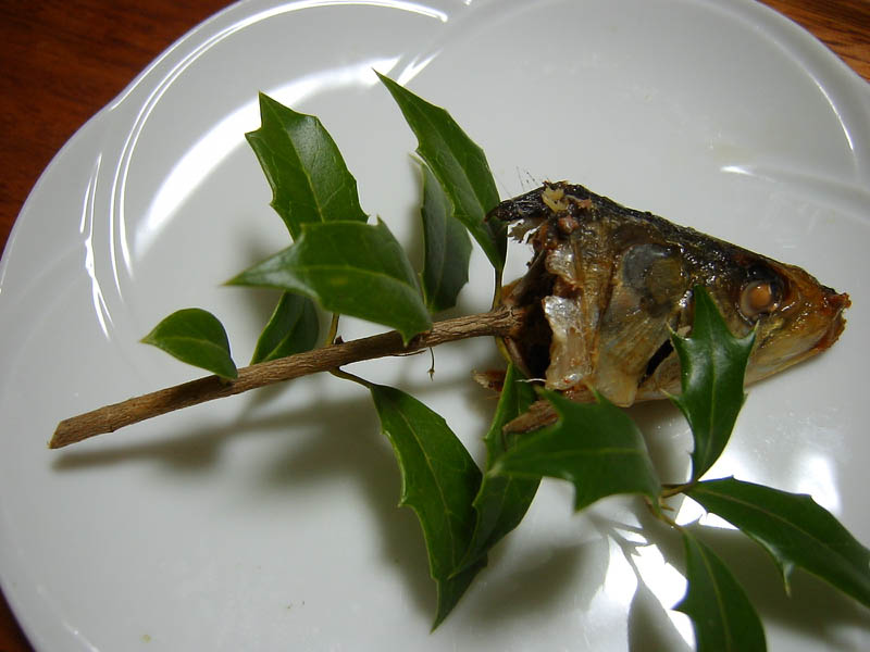 ヒイラギいわし