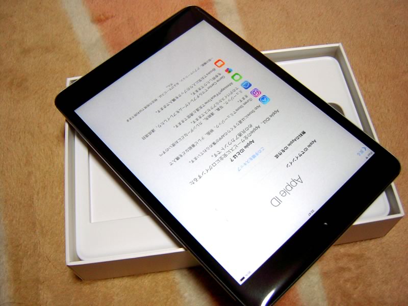 ipadmini