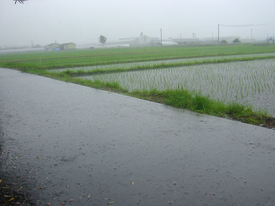 大雨