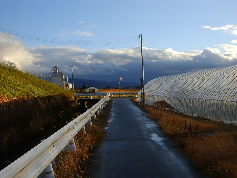 雨上がり