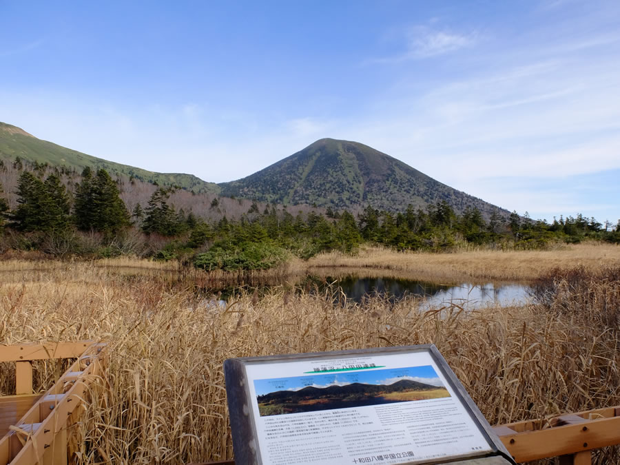 八甲田山へ