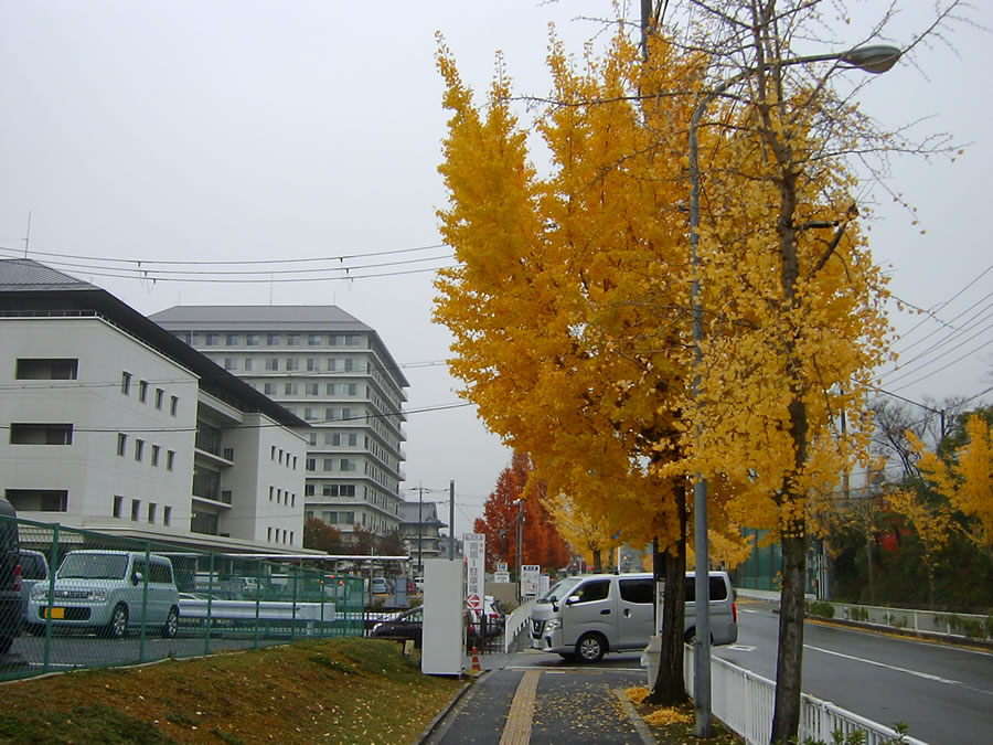 泌尿器科通院