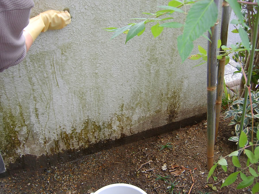 玄関の壁の掃除