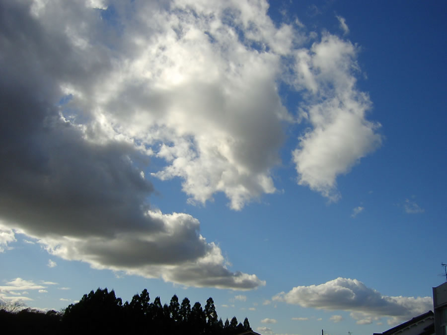 雲と鳩