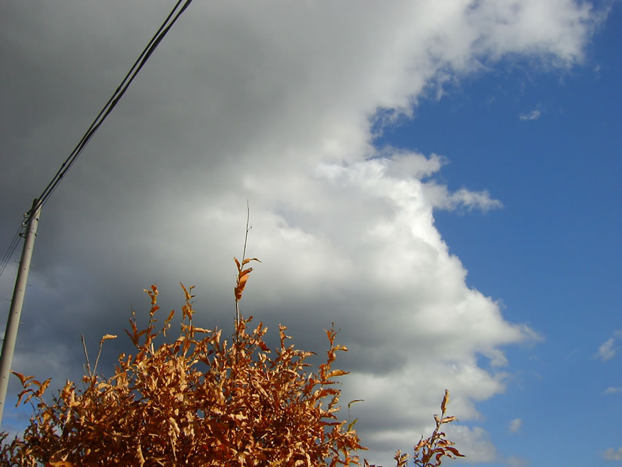 空に雲