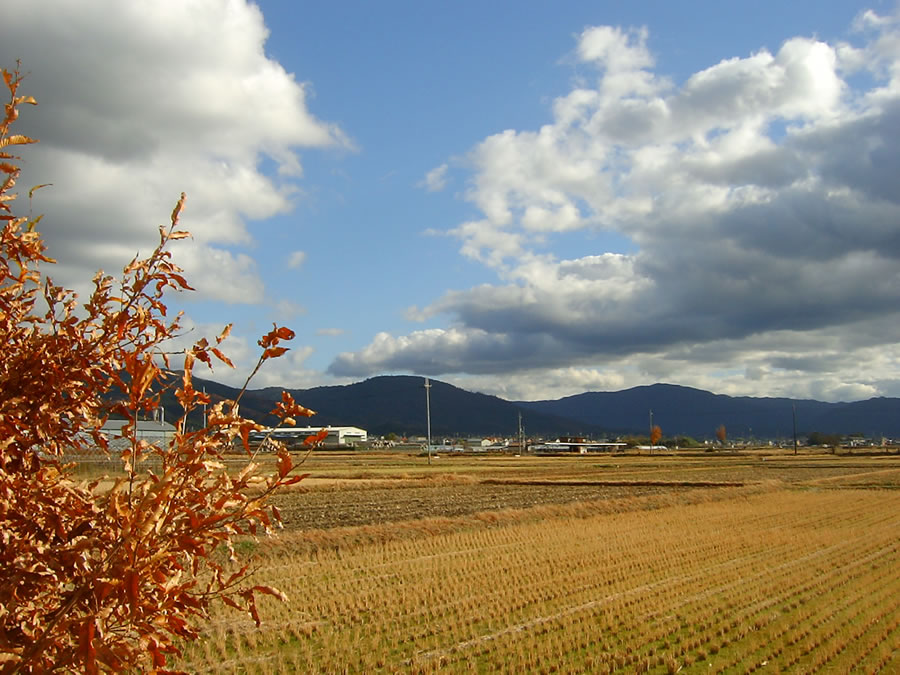 空に雲