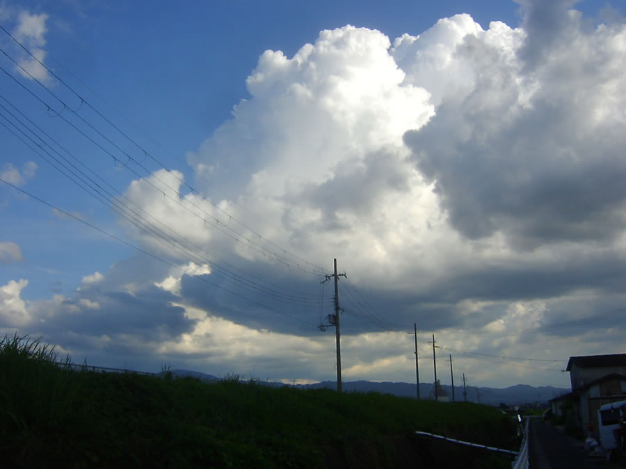 夏雲