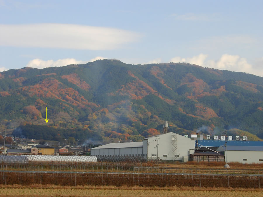 龍王山の黄葉