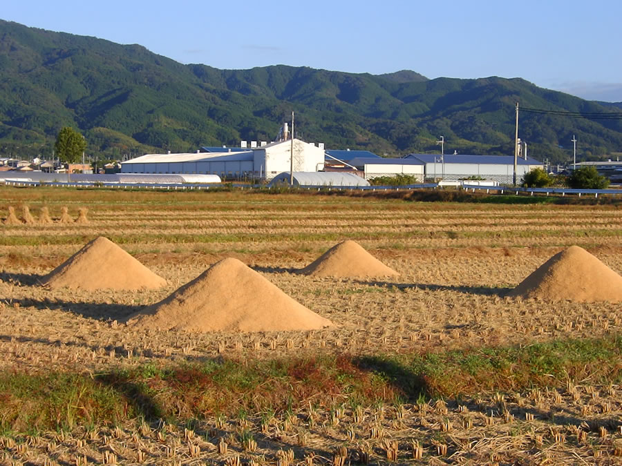 刈田に籾殻の山