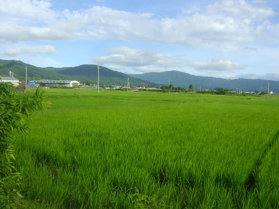 梅雨明け