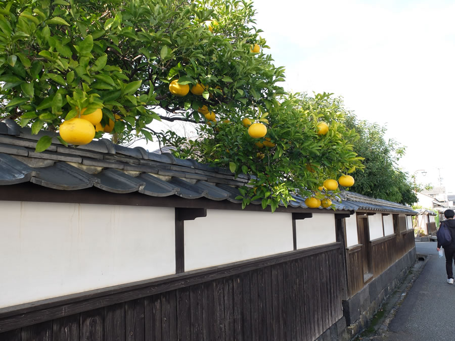 萩城下町