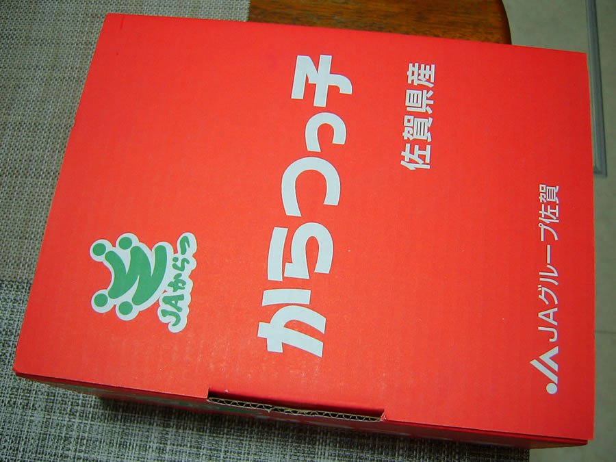 佐賀県産デコポンからつっ子