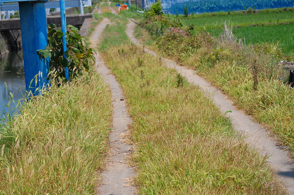 熱風にポカリスエット