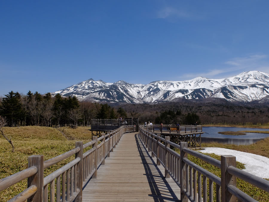 知床五湖高架木道