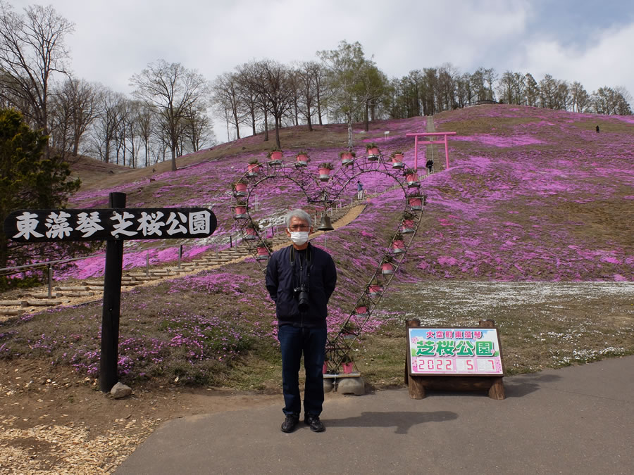 芝桜公園