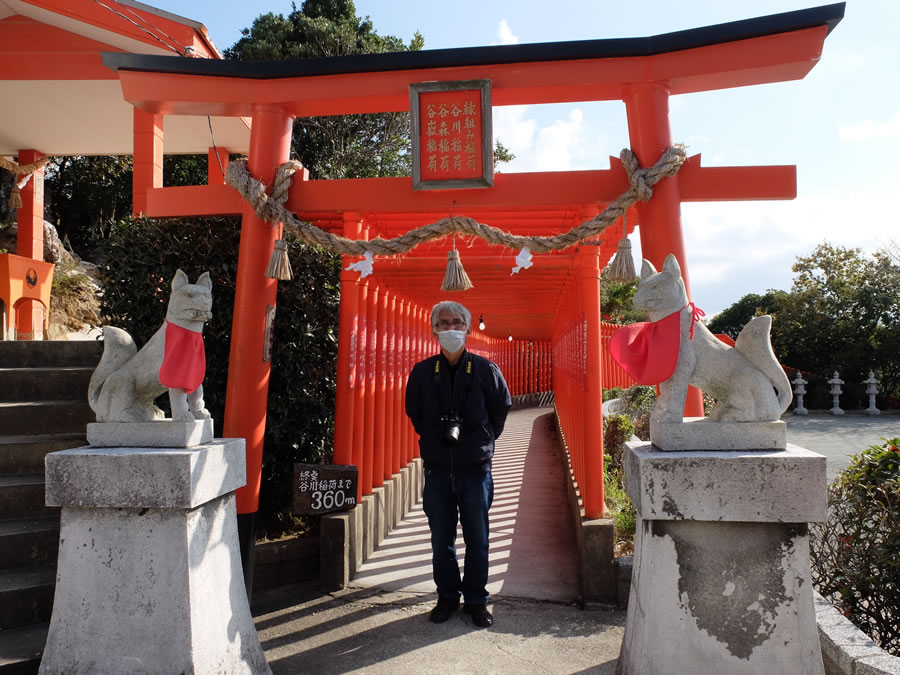 福徳稲荷神社の千本鳥居