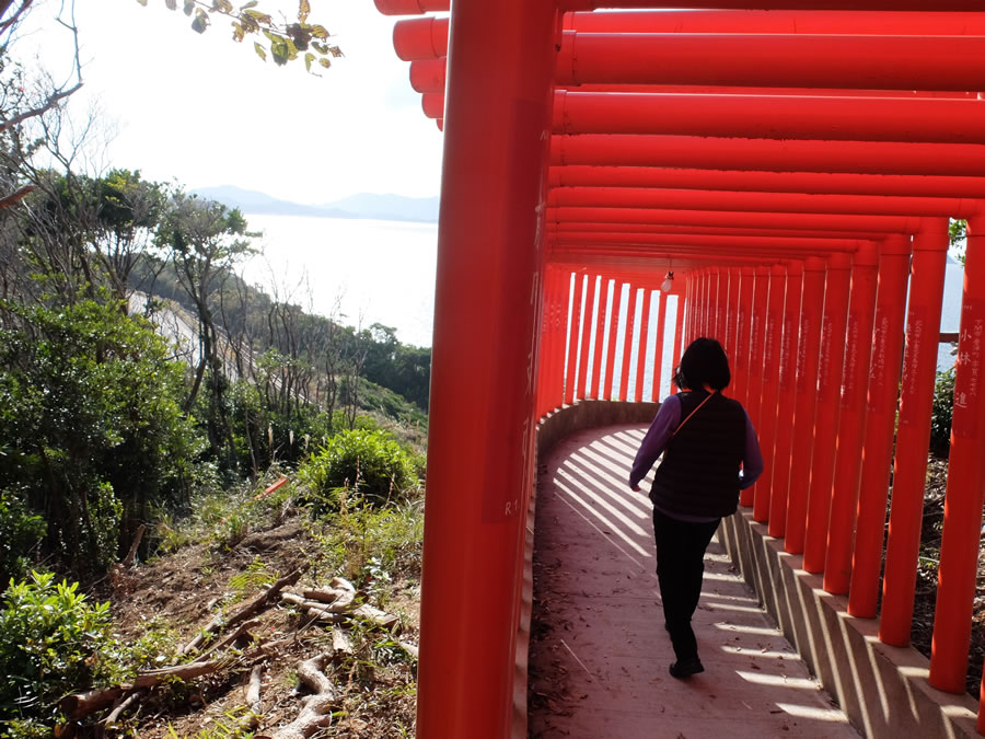 福徳稲荷神社の千本鳥居