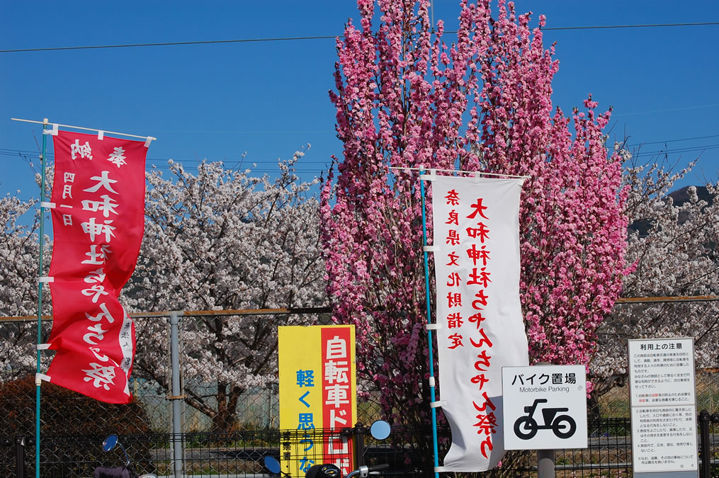 ちゃんちゃん祭りの幟