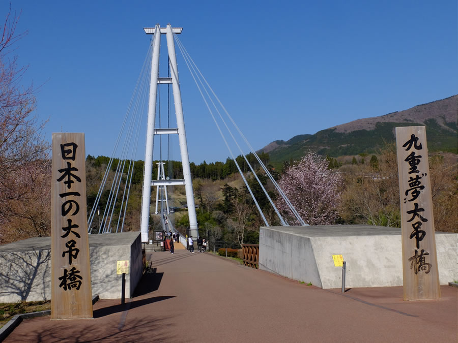 スーツケース自動預け機