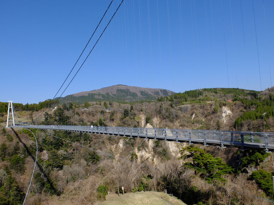 九重"夢"大吊橋