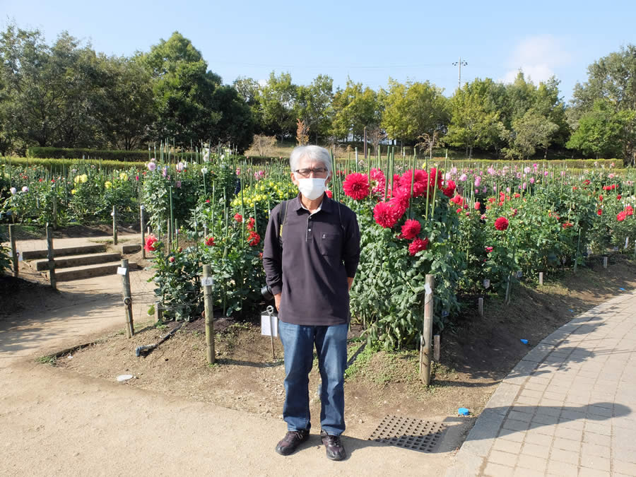 馬見丘陵公園でダリア