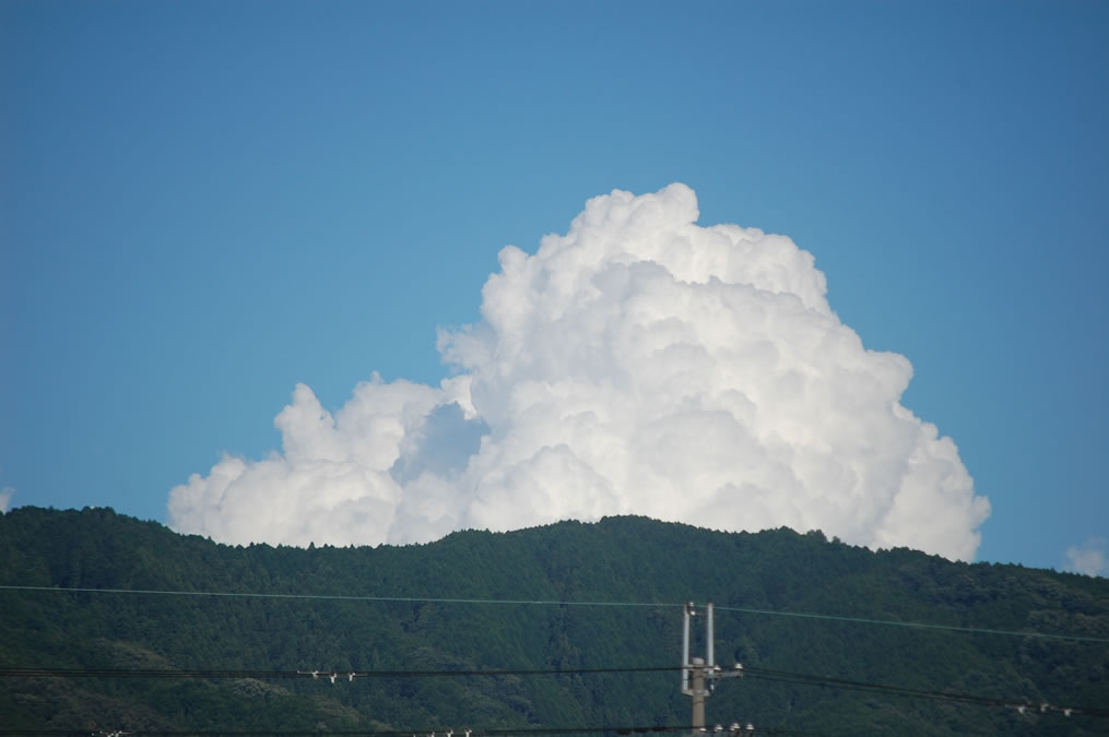 夏雲