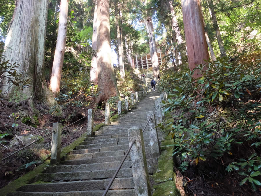 紅葉の室生寺