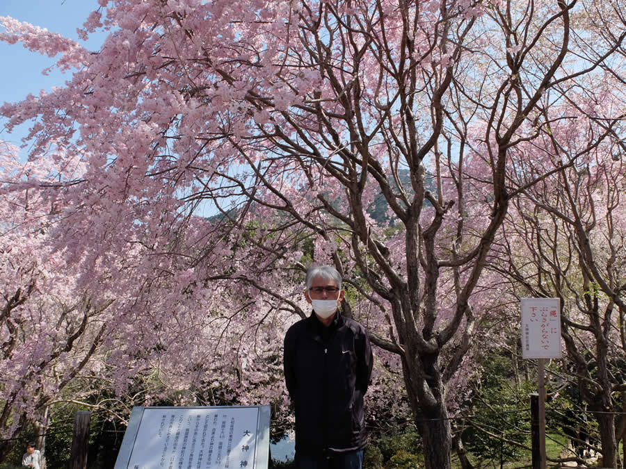 大神神社朔日参り