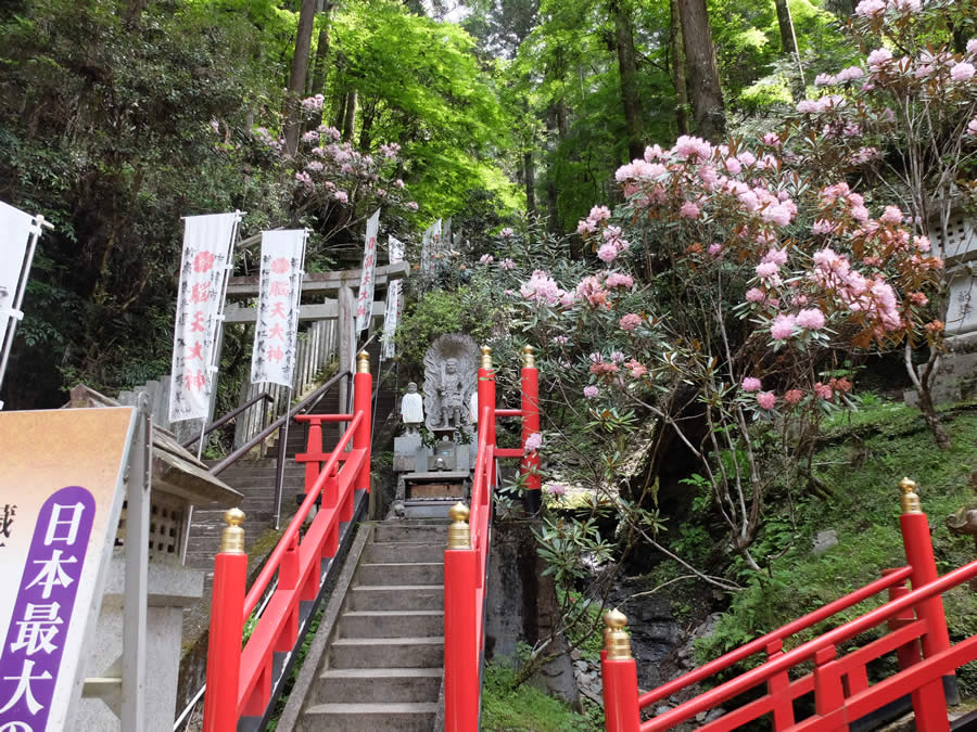 脳天大神の450段の階段