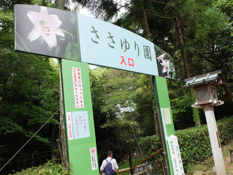 大神神社朔日参り