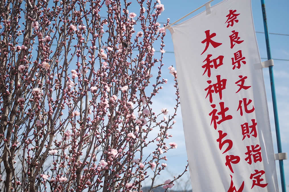 ちゃんちゃん祭の幟