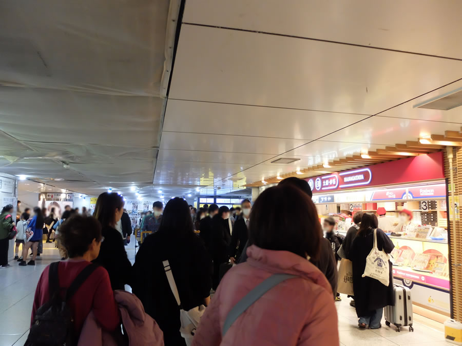 東京で下車　駅弁