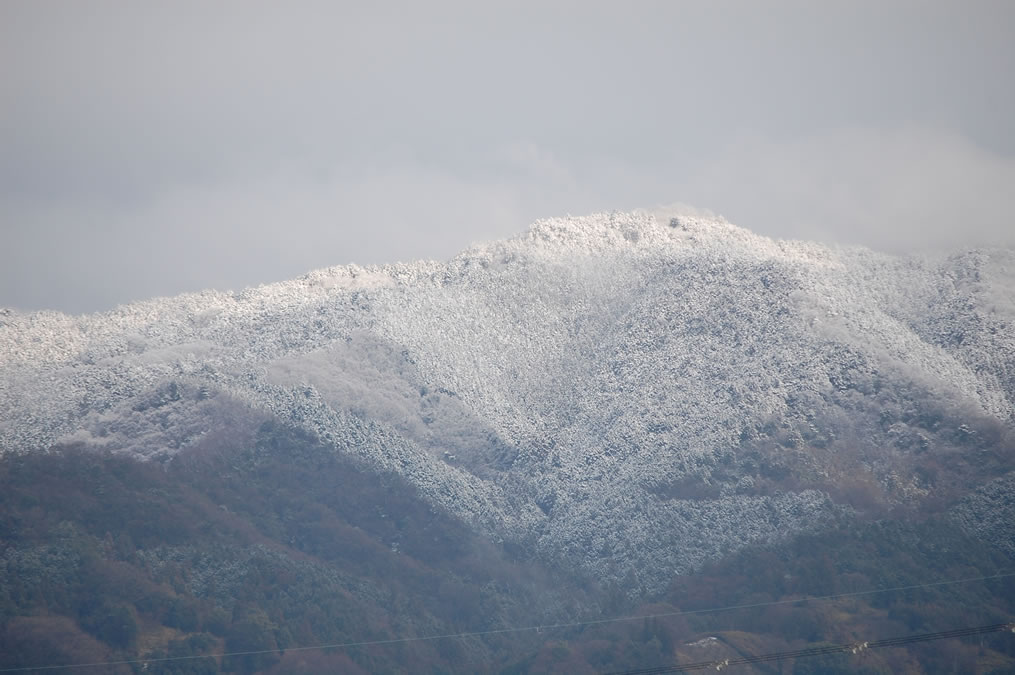 山の雪