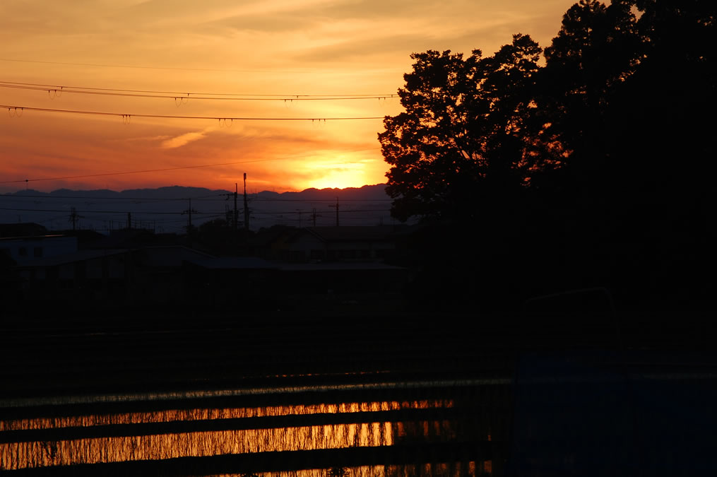 夕日