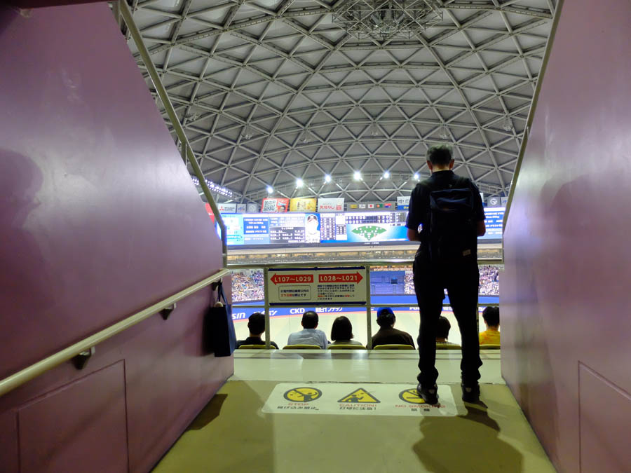 バンテリンドームナゴヤで阪神タイガース応援