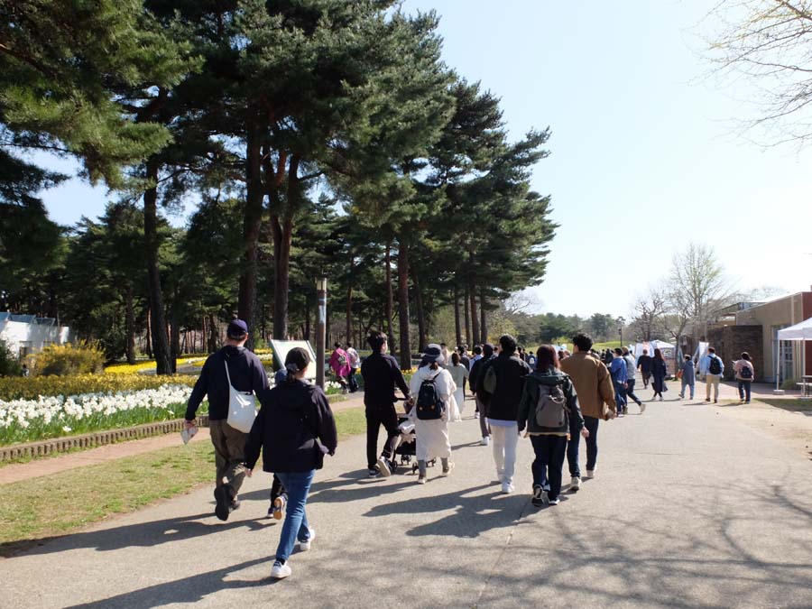 国営ひたち海浜公園