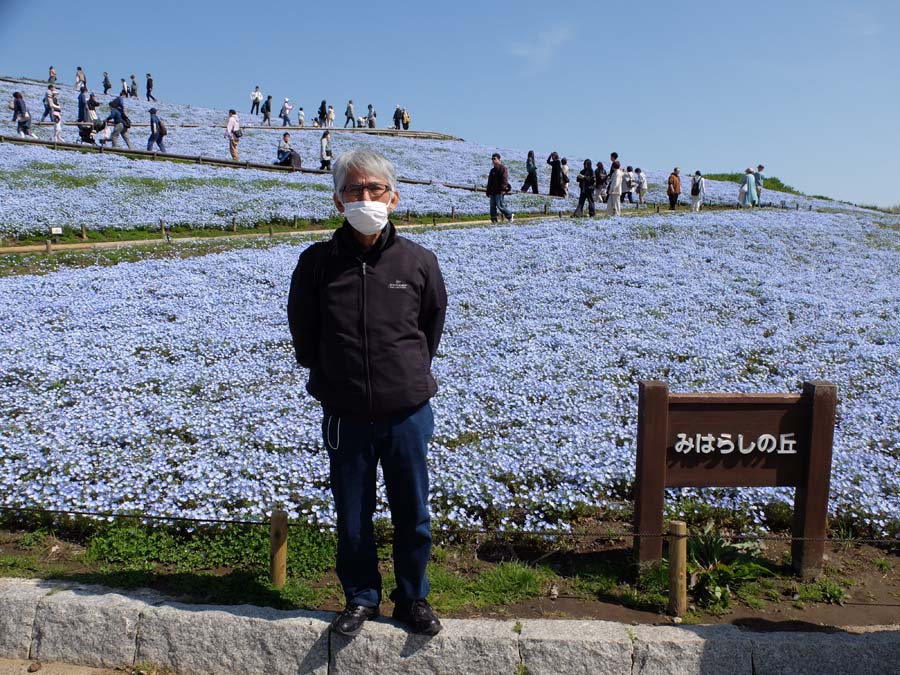 国営ひたち海浜公園ネモフィラ