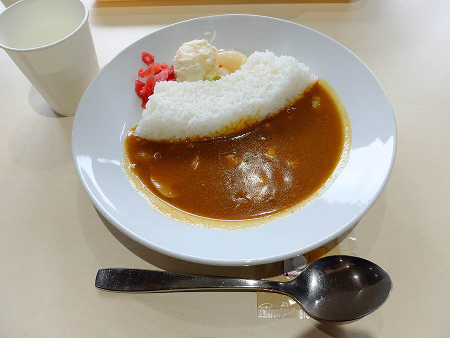 アーチダムカレー