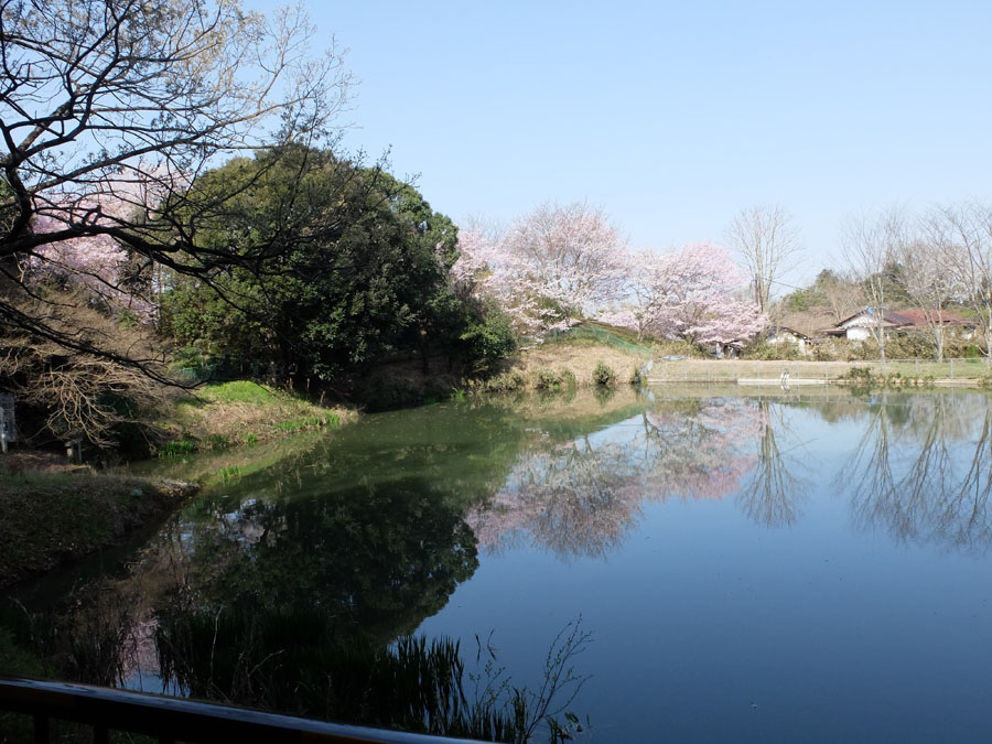 大神神社朔日参り