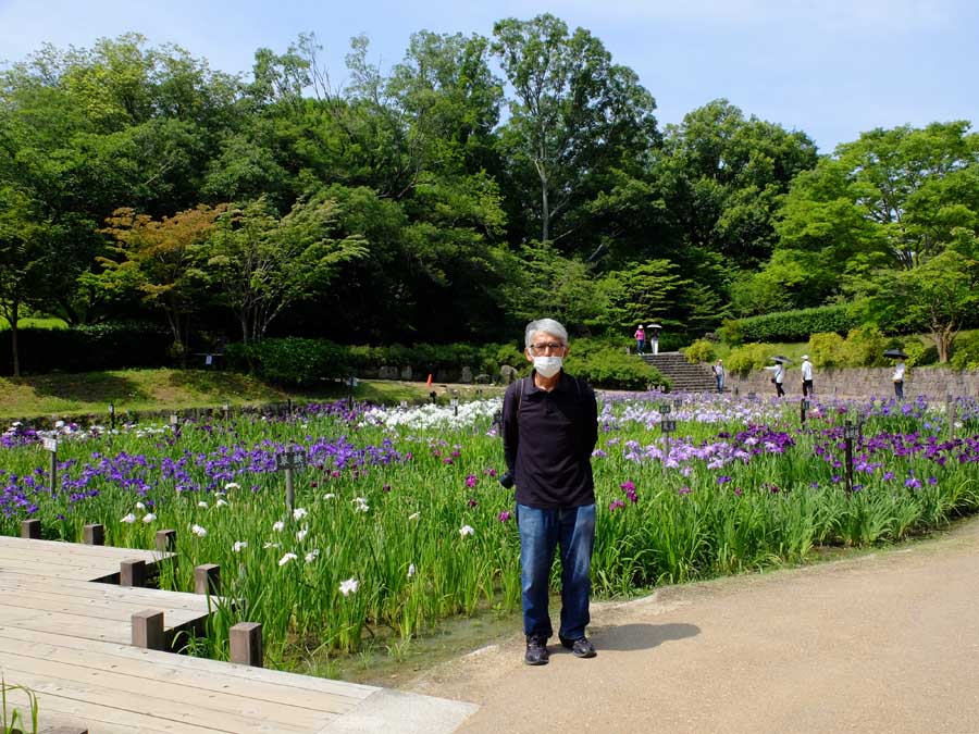 馬見丘陵公園のしょうぶ園