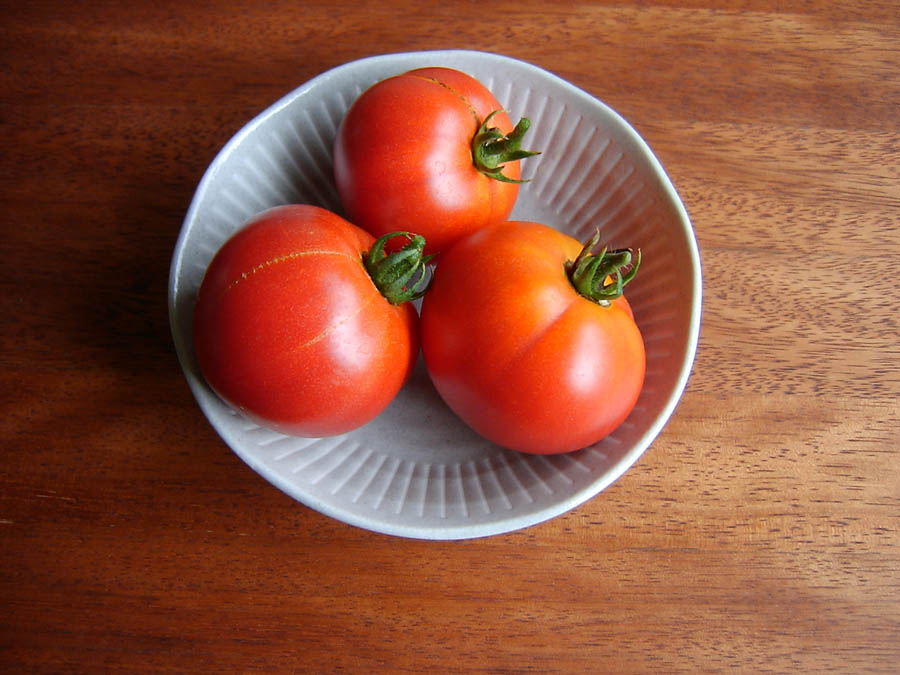 庭で採れた野菜